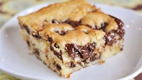 chronic-mastication-too:Chocolate Chip Cake