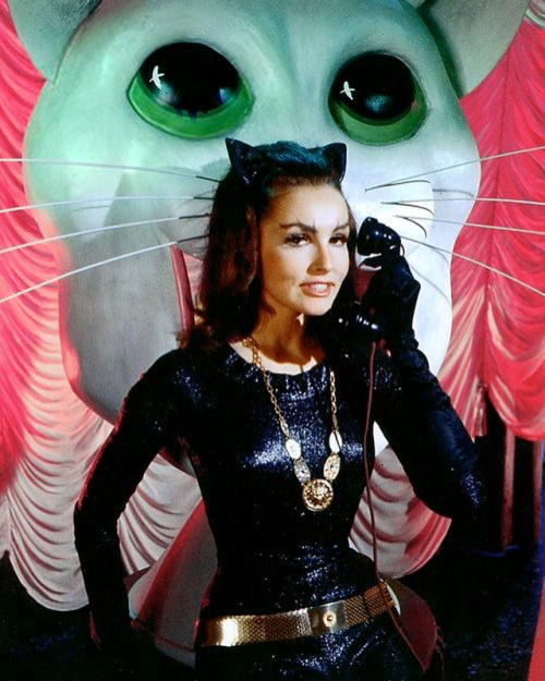 vintage-old-hollywood: My favourite cat woman Julie Newmar…who is your favorite cat woman? 
