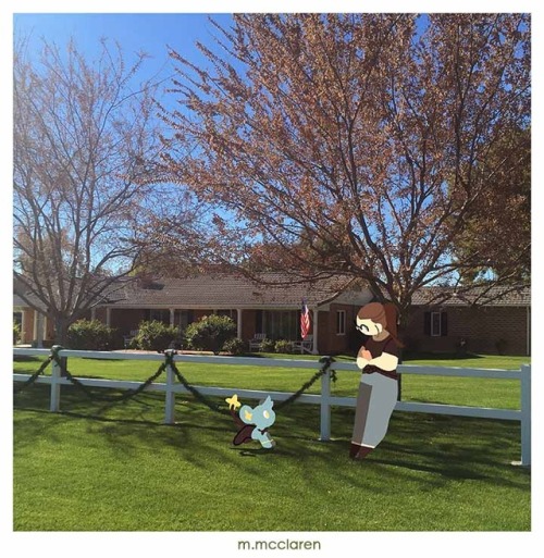 Shinx belongs to Pokemon . Artwork by Meredith McClaren[Description:  A photo of a green lawn.  A ca