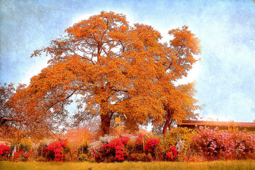 PEACE IN GARDEN OF MONASTERY by Weirena on Flickr.