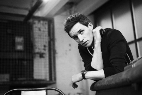 Eddie Redmayne turns 37!!