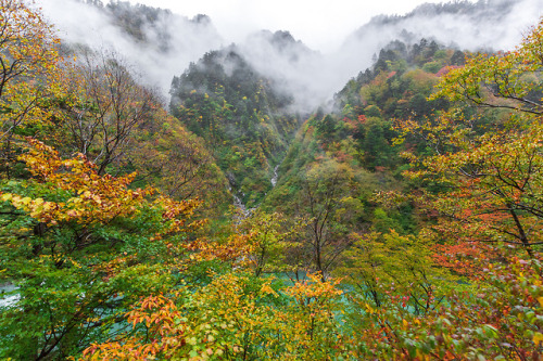 日本北陸立山秋彩(續) Autumn in Japan by Digital_trance