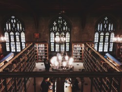 triflingthing:  One of the University of Toronto’s many magical libraries  