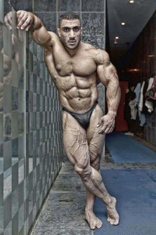 MUSCLE