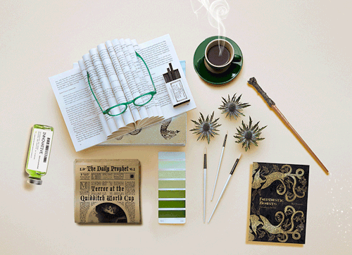 library-mermaid-blog:Study Aesthetic || Slytherin@freelance-adventure suggested that I make a Slythe
