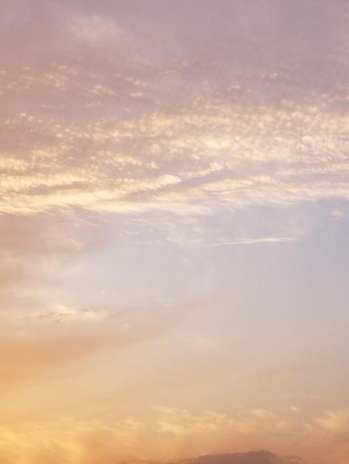 cloudypastelskies: June 16th, 2018 - Shanghai, China - Clear