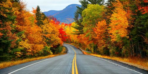 Autumn Shows Us That Far From Shunning Change Natures Achieves This Transition Effortlessly.Autumn Shows