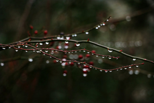 beaded by lucy.loomis on Flickr.