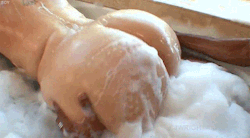 Assbuttpawgandbootygifs:  Collecting Ass Gifs Since 2012