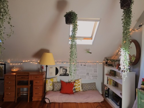 clocharb:here is my room! i feel like i’m living in a magic botanical garden and i couldn&rsqu