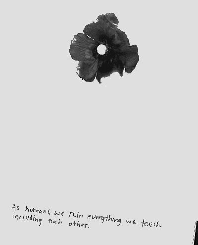 su&ndash;su:You broke my walls down and broke me as well. :)I hate you for not