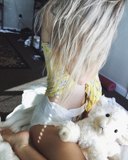 pacifybella:  Lamby is outgoing but I’m porn pictures