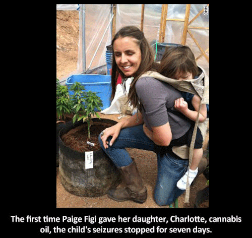 rojerk: second-and-sleeping: scorpeous: wolfwithmunchies: laliberty: Marijuana stops child’s s