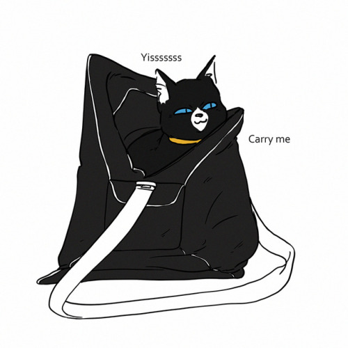 hunnypeas:Started playing Persona 5 with @djbeluga. There is a cat. 