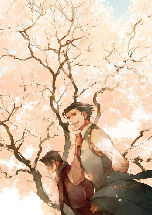 aceattorneypics:  桜 