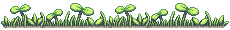 #slug Graphic Theme