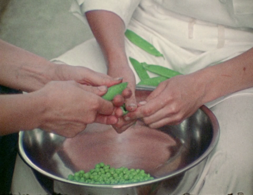 365filmsbyauroranocte:  Garlic Is As Good As Ten Mothers (Les Blank, 1980)    