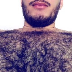 f3r4revalo:  Bored to death … 🐻👊🏻 #NoSelfieControl #Beard #Hairychest #gaycub #gaymex #gaybear #bearmex  (at Arevalo’s Home)