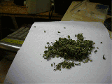 martinalikescannabis:  joint gif