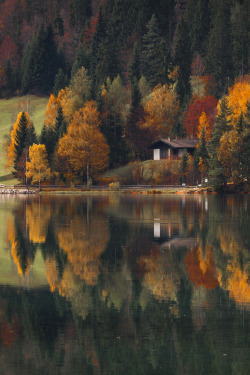 favorite-season:  Autumn at the lake by  razvan macavei  