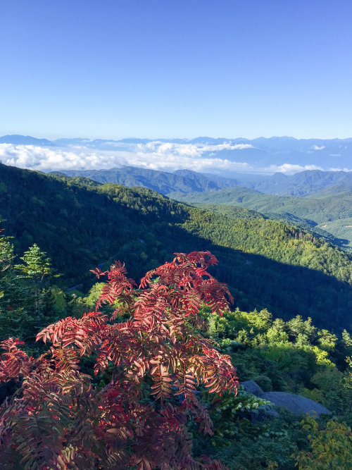 mizunokisu:2015 Autumn color by Shinichiro SakaVia Flickr:国師ケ岳 夢の庭園 2015:09:19 07:18:25 Explore #