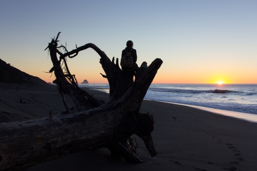 On the Lost Coast - Humboldt County, California