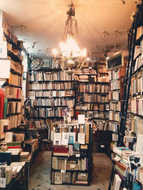 dominiquenatalie: I can never love people as much as I love books