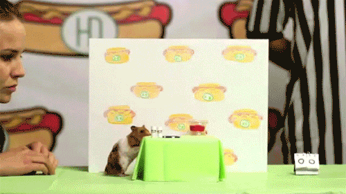 tastefullyoffensive:  Video: Hot Dog Eating Contest: Tiny Hamster vs. Kobayashi 