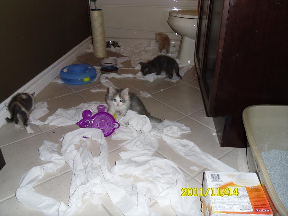 Bathroom Party!
Photo by ©Monique Peters