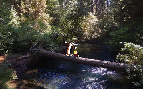 alepape:  Real Calvin & Hobbes, from Nite4awk