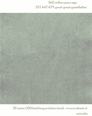 educational-gifs:  600 million years of human evolution in 15 seconds. You might