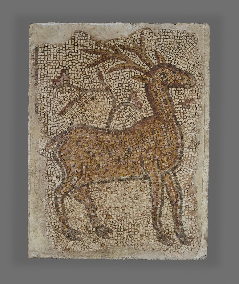 ancientpeoples:   Mosaic Fragment with Stag  Syria, 5th-6th century (Roman period)