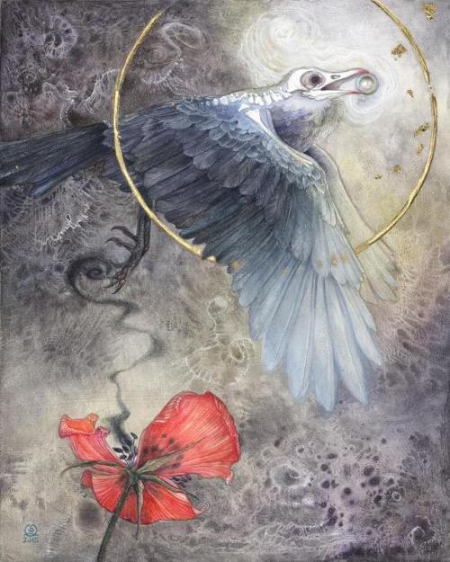 shadowscapes-stephlaw:“Value of a Pearl”#raven #blackbird #crow #bird #poppy #flower #surrealart #wa