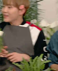 Flower Boy~