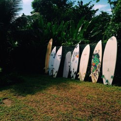 surf-sessions