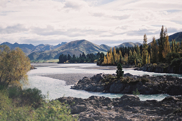 bittens:  000023 by Madeleine Roberts on Flickr. 
