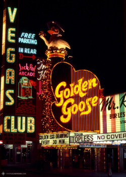 vintagelasvegas:The Golden Goose was hauled down from her perch on Fremont Street, 9/18/2017. Here’s the sign in 1976, about two years after it was installed. 