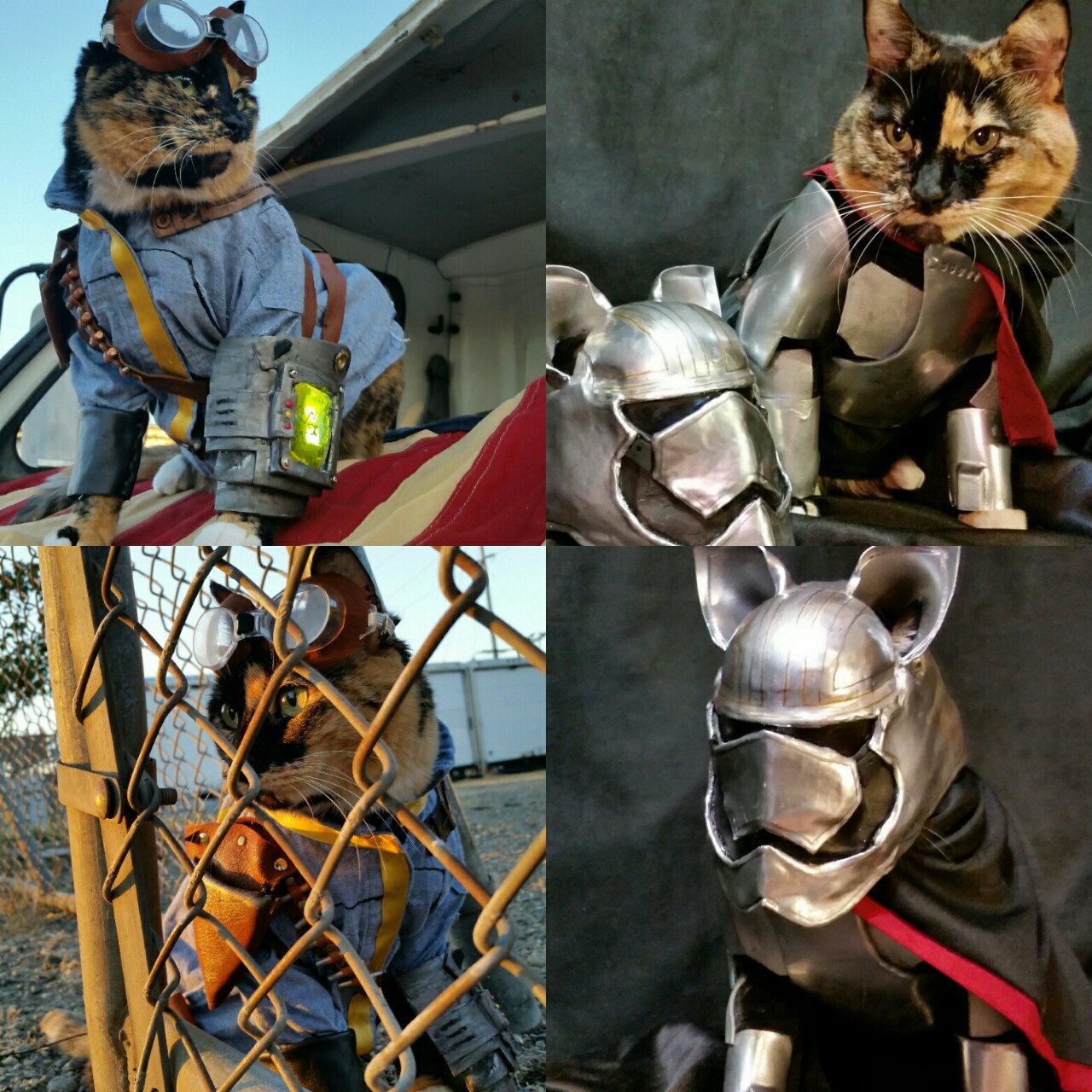 The Finals Match! Our Best Cat Cosplay of 2015
Vault Cat (Fallout 4) vs Captain Phasma (Star Wars)
Vote in Comments! Rally your friends to vote. Winner will have a special Photo session done!