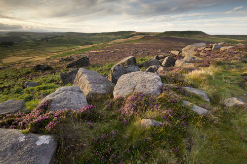 landscapelifescape:Peak District, England(by samglover99)