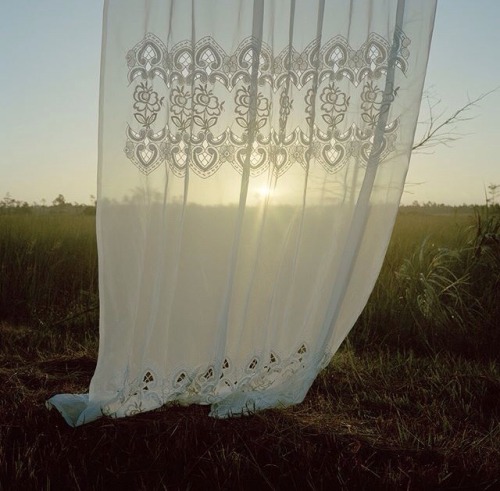 roseoilz:  certain curtain into the world by rebecca reeve