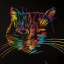 kittenquasar