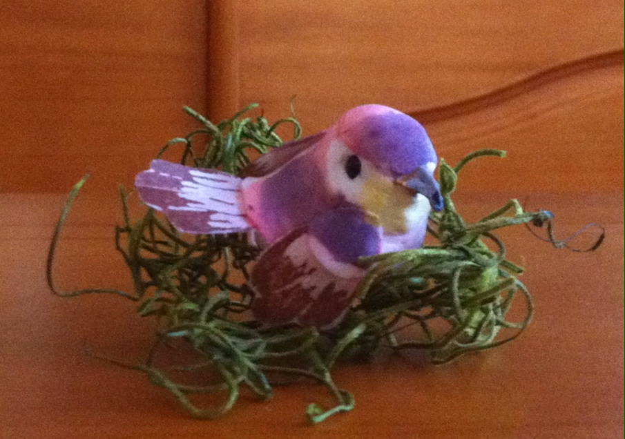 My mom gave my little sister this decorative bird thing and she decided to name it