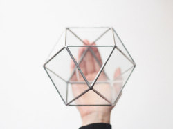 lesstalkmoreillustration:  Handcrafted Glass Geometric Terrariums By Waen On Etsy   *More Things &amp; Stuff    