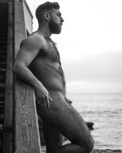 hairyhotman:  http://hairyhotman.tumblr.com/