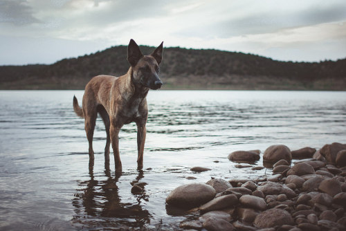 tempurafriedhappiness:Trinidad Lake State Park, Trinidad, Colorado.