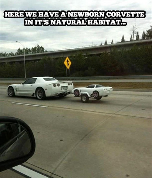 Totes