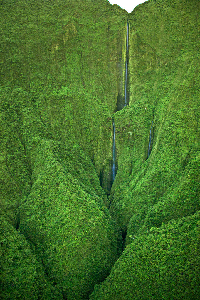 sixpenceee:Honokohau Falls in Hawaii  is said to be the tallest waterfall on Maui.