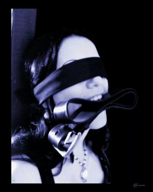 The musings of a Dom.