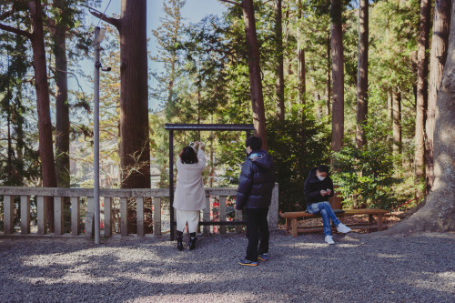 『御神木』sony a6400 + SIGMA 16mm F1.4 DC DN | Contemporary2022.01.05location : 静岡県 Shiuoka, Japan神社、事任八幡