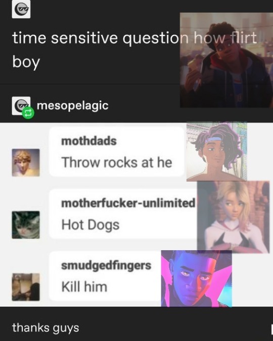 Tumblr media